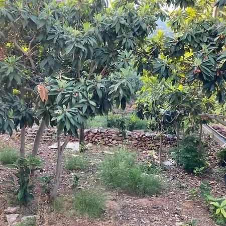 Deniz Manzarali,Terasli,Doga Icinde Muestakilsi Ev Apartment Alanya