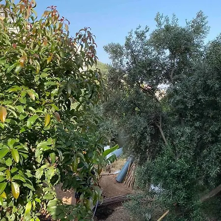 Deniz Manzarali,Terasli,Doga Icinde Muestakilsi Ev Apartment Alanya